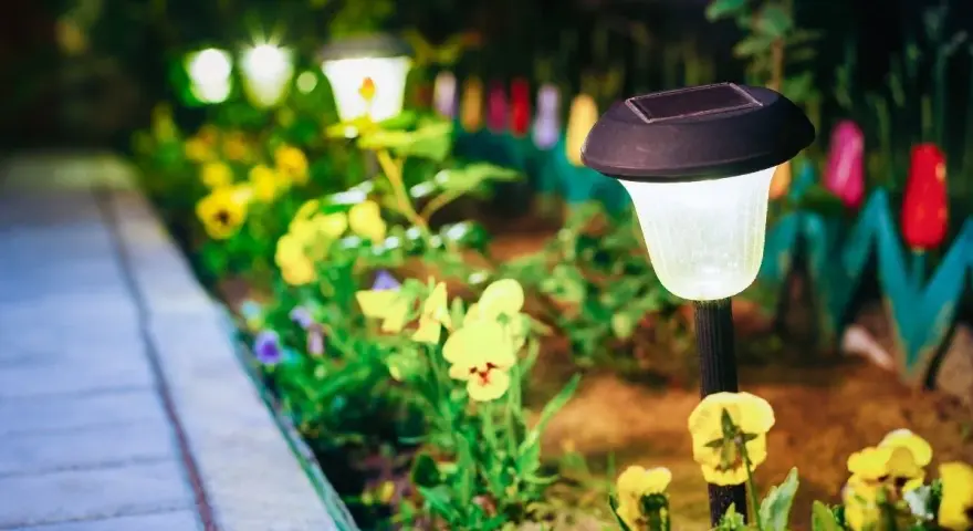 Giardino illuminato da lampade solari, un'idea per il tuo giardino fai da te a costo zero. Fiori gialli e viola illuminano il sentiero.