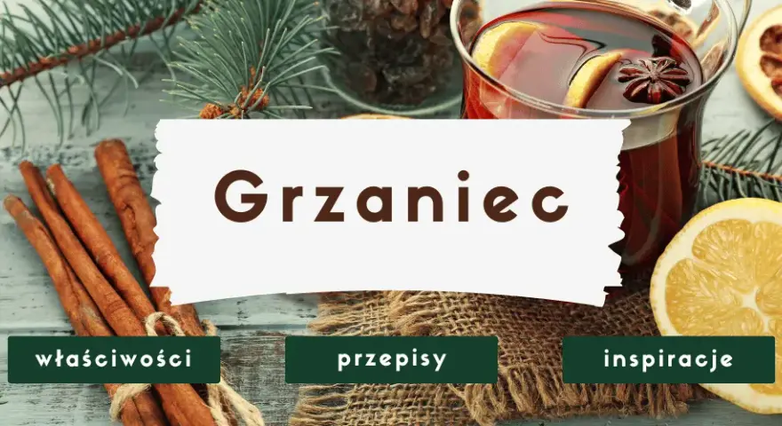 Grzaniec: Jak zrobić idealny napój rozgrzewający? Przepisy