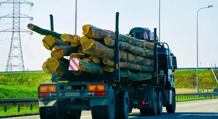Ciężarówka z drewnem na przyczepie. Ładunek wystaje znacząco, co może budzić pytania, ile może wystawać ładunek z przyczepy.