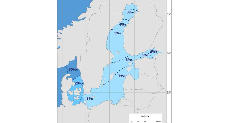 Mapa pokazuje, dlaczego Morze Bałtyckie jest słabo zasolone. Wody przybrzeżne mają niskie zasolenie, od 3‰ do 8‰, a w głębi morza dochodzi do 7‰.