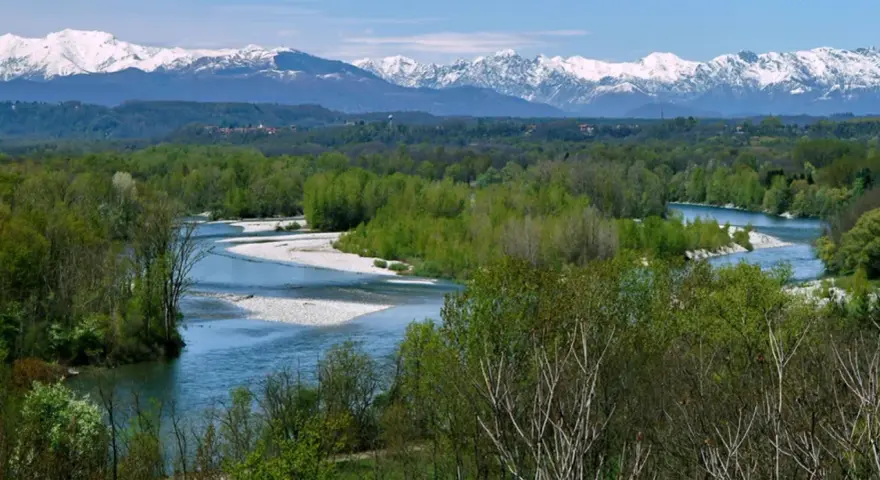Il fiume Ticino serpeggia tra boschi rigogliosi, con montagne innevate all'orizzonte.