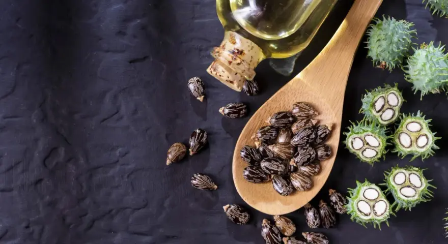 Semi di ricino e olio di ricino spalmato sulla pancia per un rimedio naturale.