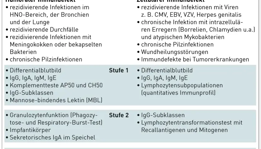 Die wichtige Rolle der Immundefekt Diagnostik im Gesundheitswesen
