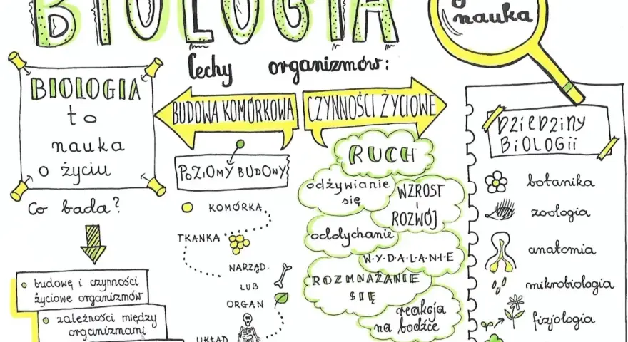 Czy biologia to nauka ścisła? Odkryj złożoność tej dziedziny