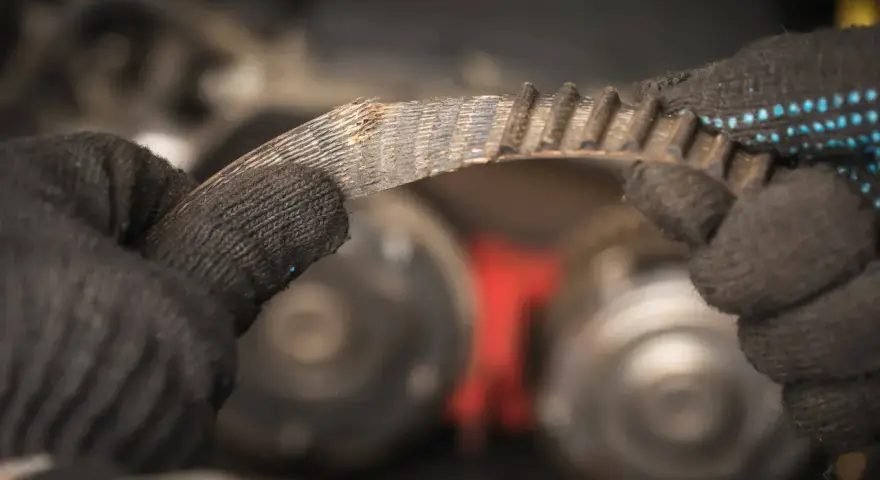 Zużyty, piszczący pasek napędowy w rękach mechanika. Widać postrzępione krawędzie i zużyte zęby, co sugeruje potrzebę wymiany.