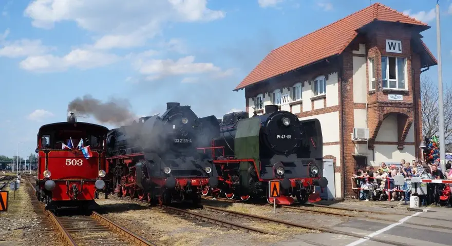 Parowóz 503 i dwa czarne parowozy na torach przed budynkiem z napisem WL. Muzeum Kolejnictwa Wolsztyn.