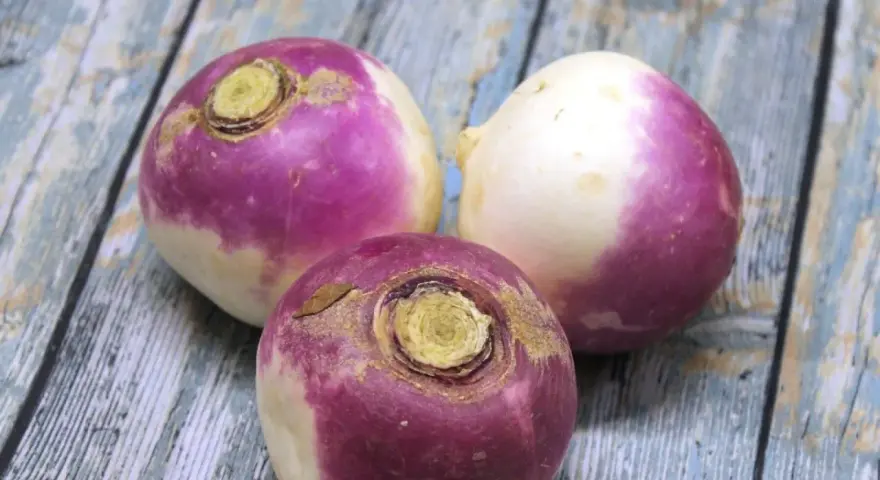 Trois navets violets et blancs sur une table en bois. Parfait pour une recette navet réconfortante.