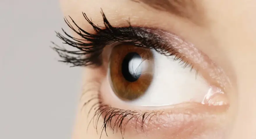 Occhio marrone con ciglia lunghe e folte, un riflesso luminoso suggerisce l'uso di olio di silicone per un effetto brillante.