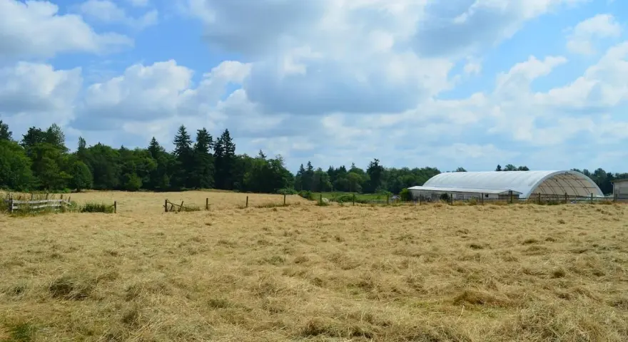 Ile trwa przekształcenie działki rolnej na budowlaną? Poznaj fakty
