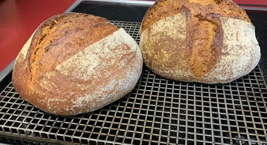 Zwei frisch gebackene, rustikale Brote mit knuspriger Kruste und lockerer Krume ruhen auf einem Gitter. Dieses 60 Stunden Brot ist ein Meisterwerk.