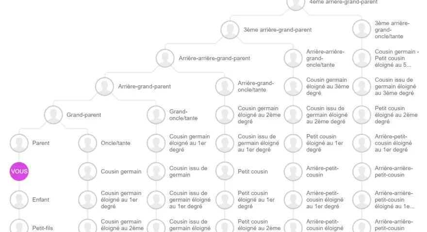 Arbre généalogique illustrant qu'est ce qu'un lien de parenté, de "VOUS" aux arrière-grands-parents et cousins éloignés.