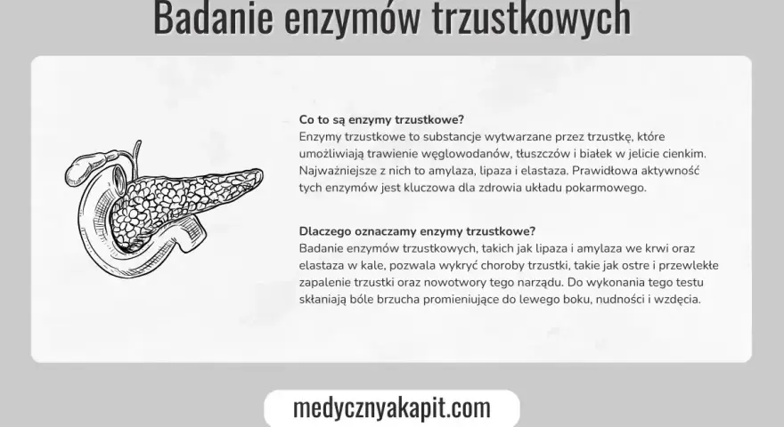 Ilustracja trzustki. Badanie enzymów trzustkowych, w tym lipazy, pomaga wykryć choroby tego narządu.