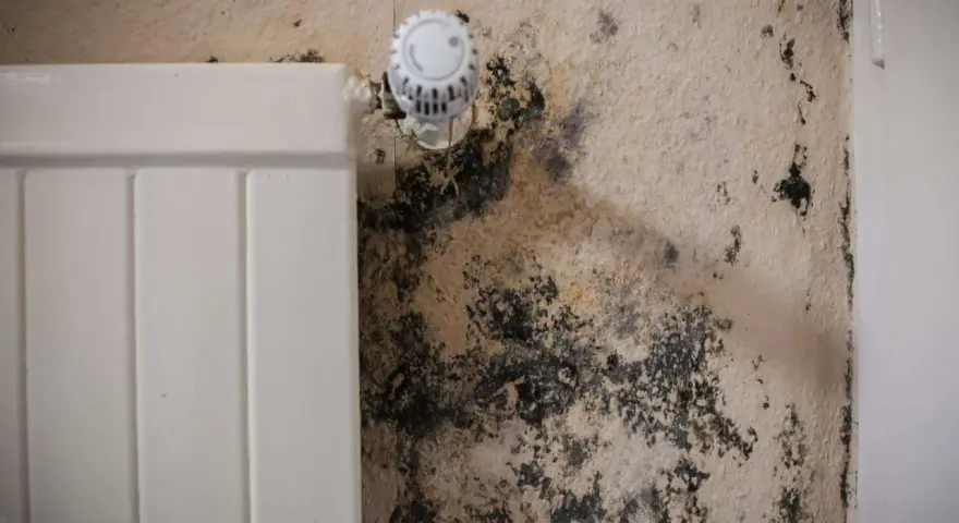 Schwarzer Schimmel breitet sich an der Wand neben einem Heizkörper aus. Dies kann ein Hinweis auf unsichtbaren Schimmel in der Wohnung und dessen Symptome sein.
