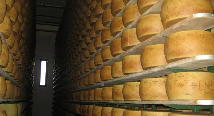 Czy grana padano to parmezan? Odkryj kluczowe różnice i smaki
