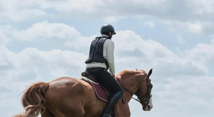 Cavalier en tenue d'équitation sur un cheval bai, sous un ciel nuageux. La tête d'arsouille du cheval est visible, prête pour l'aventure.