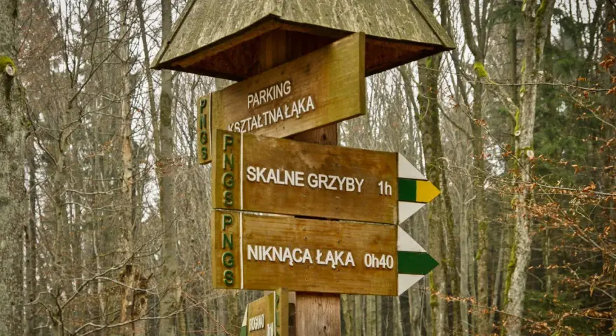 Drewniany drogowskaz w lesie wskazuje drogę do "SKALNE GRZYBY" (1h) i "NIKNĄCA ŁĄKA" (0h40).