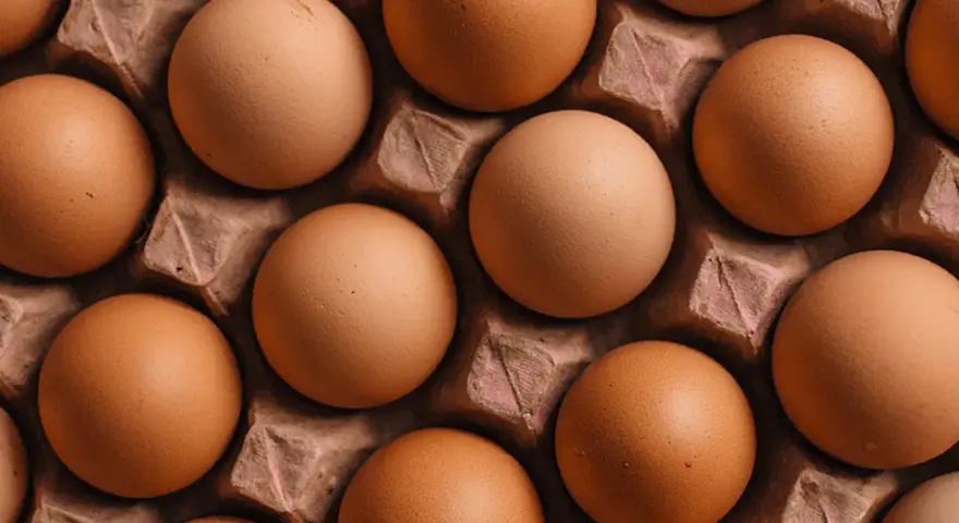 Huevos marrones en una bandeja de cartón, listos para ser usados en hostelería.