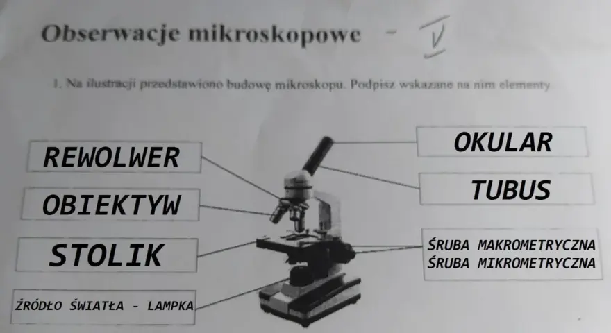 Obiektyw mikroskopu: kluczowe funkcje i zastosowania w mikroskopii