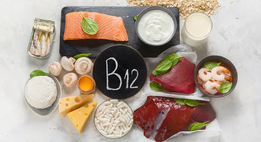 Vielfältige vitamin b12 lebensmittel: Lachs, Rindfleisch, Leber, Garnelen, Sardinen, Eier, Milchprodukte, Pilze und Haferflocken.