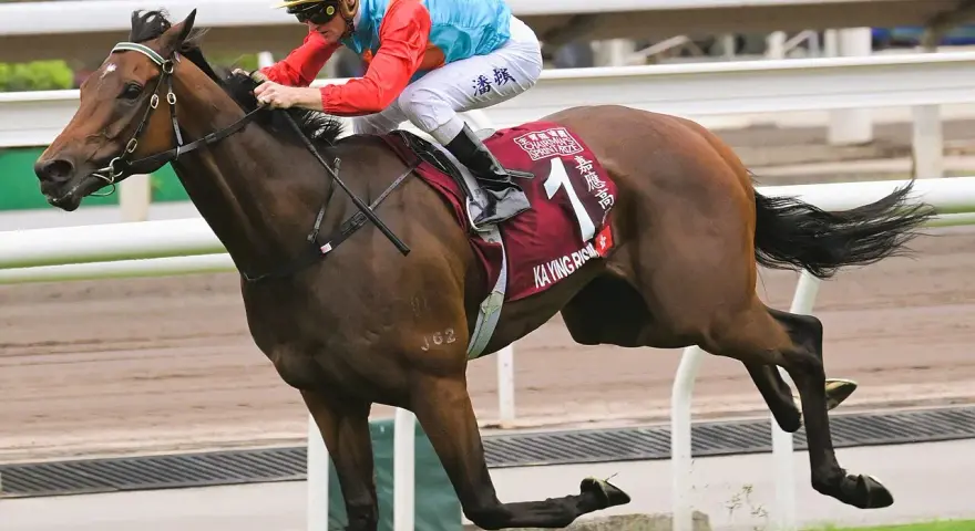 Un jockey sur un cheval brun, portant la casaque "KA YING RISING", participe à une course. Ces chevaux connus sont des athlètes d'exception.