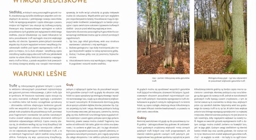 Wskazówki, jak znaleźć trufle: lasy liściaste, grądy i grabiny, wiek drzewostanu i rodzaj gleby to kluczowe czynniki.