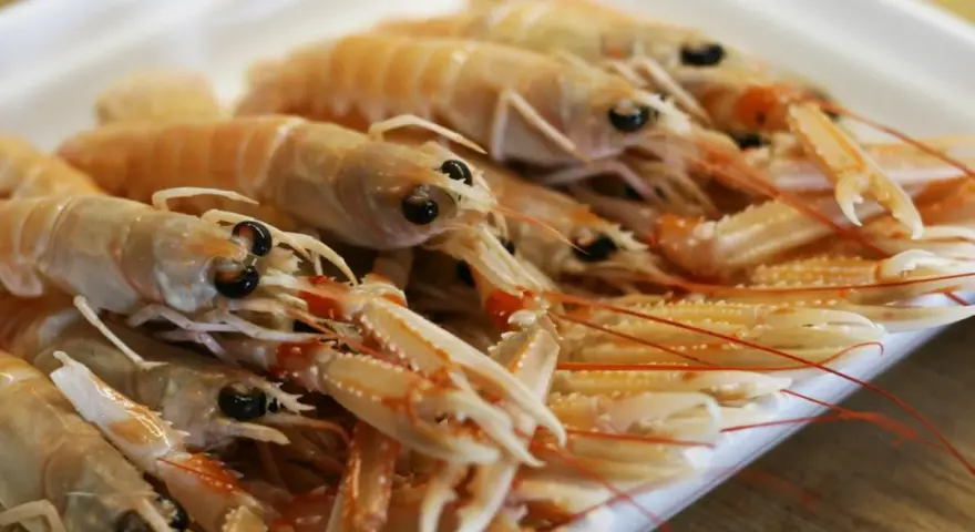 Un plato lleno de cigalas a la plancha, listas para ser degustadas.