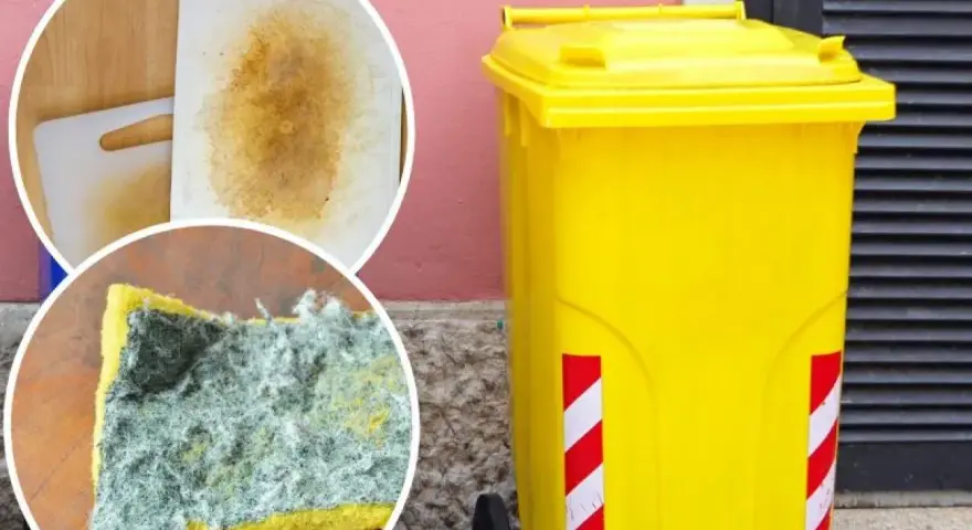 Brudna gąbka i deska do krojenia obok żółtego kontenera na śmieci.