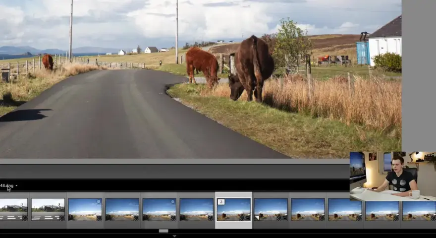 Dans Lightroom, on peut dupliquer une photo pour expérimenter. Ici, des vaches paissent près d'une route écossaise.
