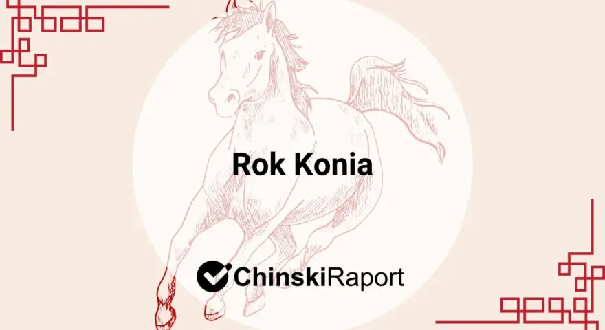 Ilustracja przedstawia biegnącego konia z napisem "Rok Konia".