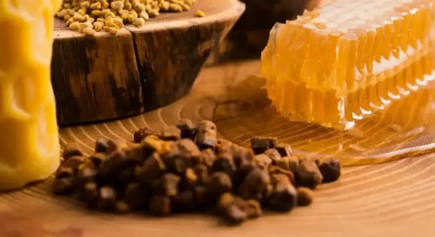 Propolis, pollen, et rayon de miel sur fond de bois. Découvrez les nombreux propolis bienfaits pour la santé.