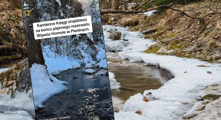 Zimowy spacer przez Wąwóz Homole. Lód i śnieg otaczają strumień, tworząc malowniczy krajobraz. Czas przejścia przez ten piękny rezerwat to niezapomniane przeżycie.