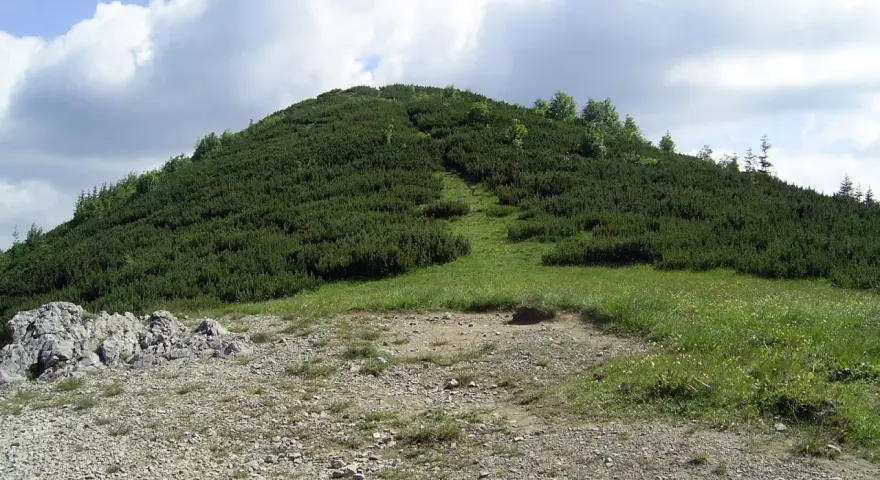Wielka królowa kopa, porośnięta kosodrzewiną, wznosi się ku błękitnemu niebu z chmurami. Ścieżka wije się po jej zboczu.