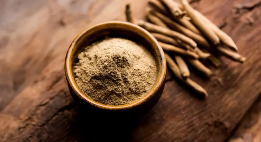Ashwagandha Pulver in einer Schale und Wurzeln daneben. Wann einnehmen? Ideal morgens oder abends für Stressabbau.