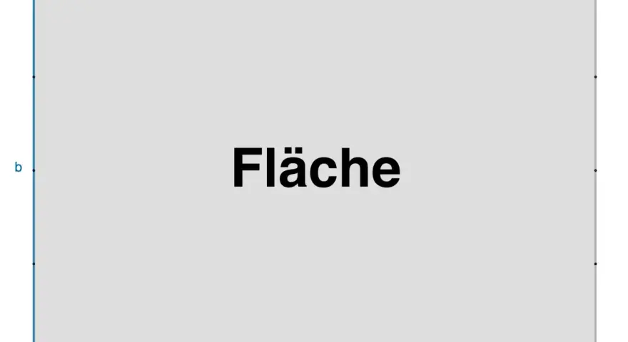 Ein Rechteck mit den Seitenlängen a und b. Die Fläche des Rechtecks wird berechnet.