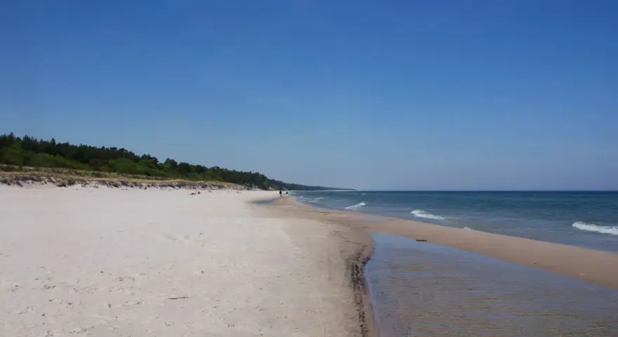 Piękna plaża w Karwieńskich Błotach. Jasny piasek, spokojne morze i las w tle. Idealne miejsce na spacer.