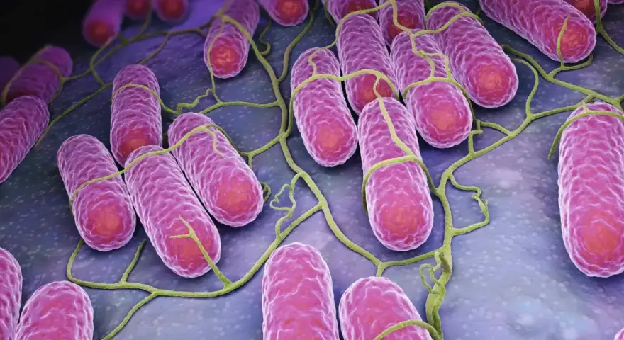Batteri rosa allungati con flagelli verdi, che rappresentano il microbioma cutaneo.