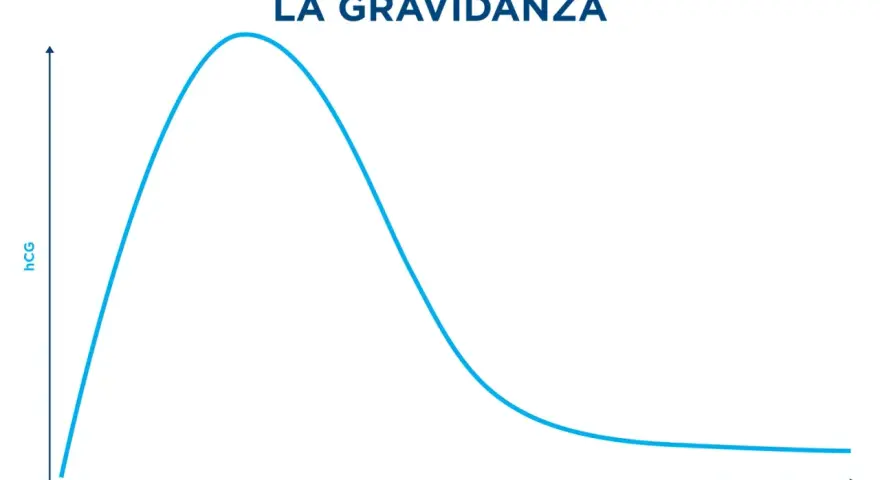 Grafico mostra l'andamento del beta hcg durante la gravidanza, con un picco intorno alla 9-10 settimana e poi un calo graduale.