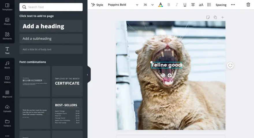 Jak dodać napis do zdjęcia? W edytorze Canva, wybierz tekst, wpisz "Feline good" i umieść go na zdjęciu z kotem.