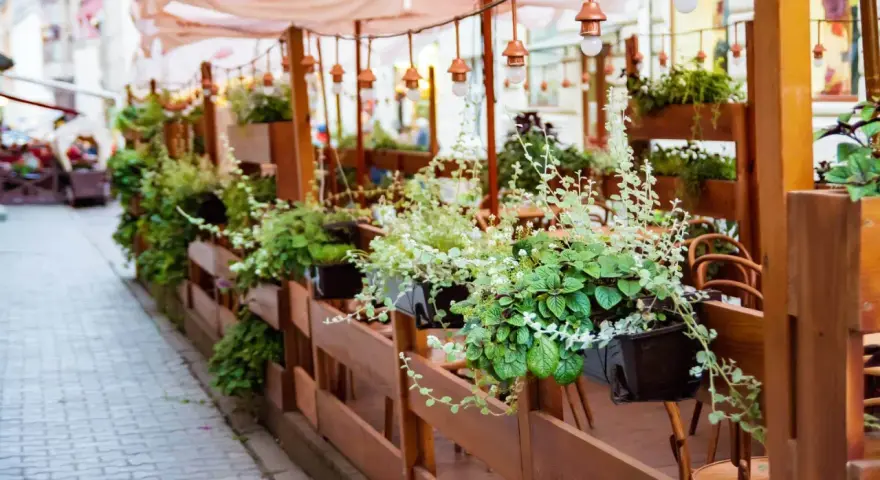 Zielony ogródek przy restauracji, pełen wiszących roślin i drewnianych mebli, zaprasza do odpoczynku.