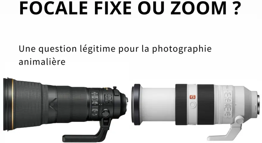 Deux téléobjectifs photo animalière, un noir et un blanc, côte à côte. Lequel choisir pour capturer la faune ?