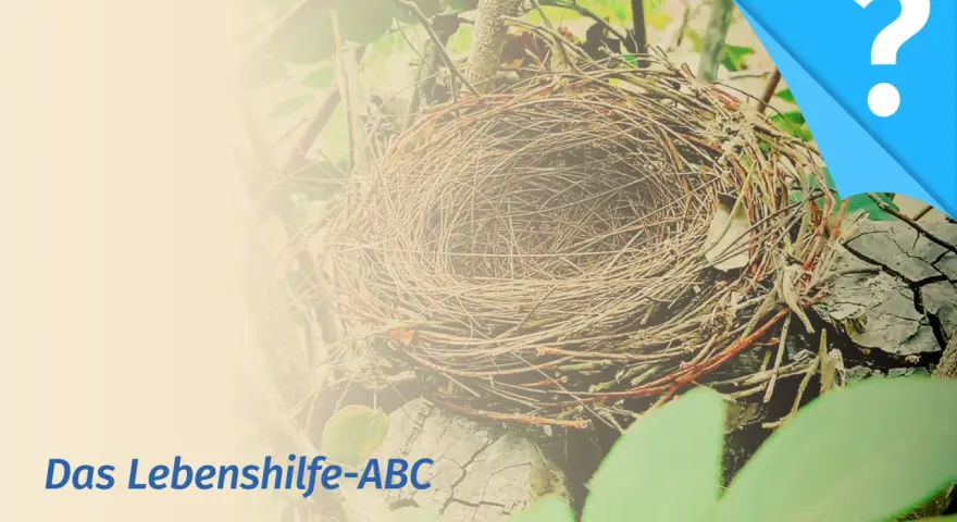 Leeres Vogelnest, Symbol für das "empty nest syndrom". Text: Das Lebenshilfe-ABC.