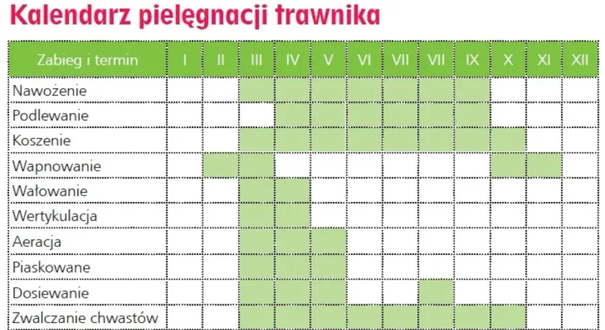 Kalendarz pielęgnacji trawnika: nawożenie, podlewanie, koszenie, wapnowanie, wałowanie, wertykulacja, aeracja, piaskowanie, dosiewanie i zwalczanie chwastów w poszczególnych miesiącach.