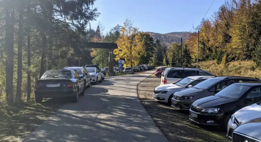 Wielka racza samochodów na leśnym parkingu. Jesienne drzewa i góry w tle.