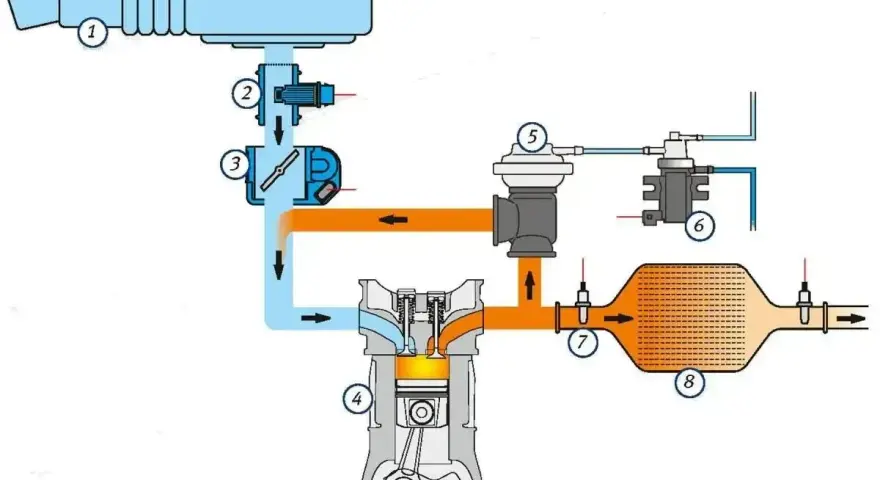 Schemat układu recyrkulacji spalin (EGR). Pokazuje przepływ spalin przez turbosprężarkę (5), katalizator (8) i powrót do silnika (4).