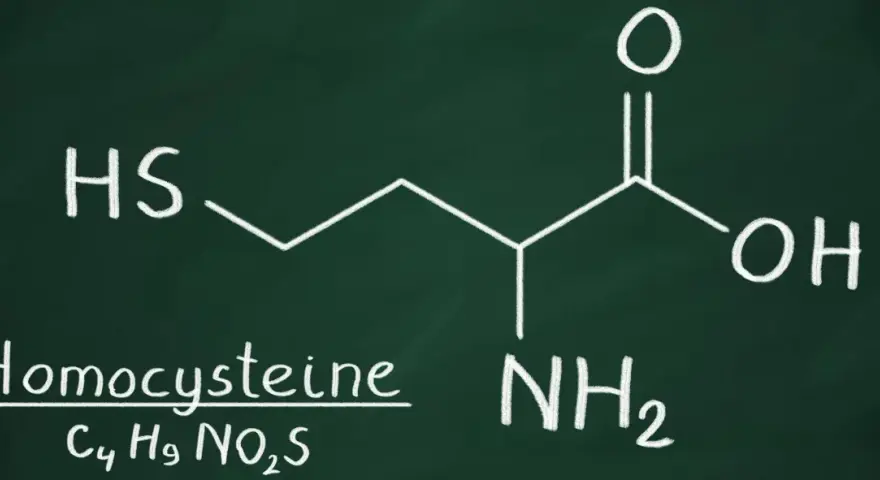 Struktura chemiczna homocysteiny. Norma homocysteiny jest kluczowa dla zdrowia.