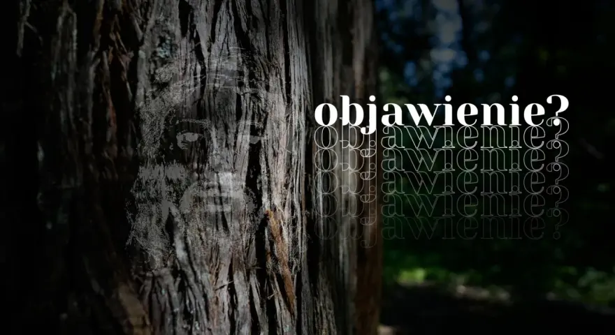 Na pniu drzewa widnieje twarz, jakby objawienie. Obok powtarza się słowo "objawienie?".