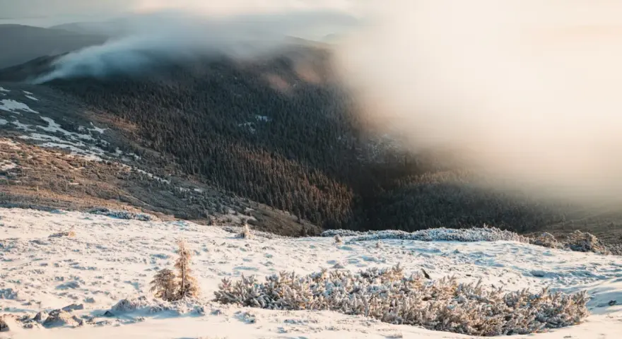 Zimowy krajobraz górski, gdzie mgła otula lasy, a śnieg pokrywa zbocza. Widok przypomina kocioł wielkiego stawu, otoczony mroźnym pięknem.