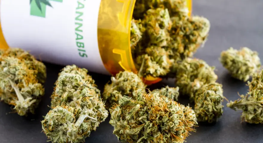 Medyczna marihuana: Recepta w Polsce warunki, proces, koszty