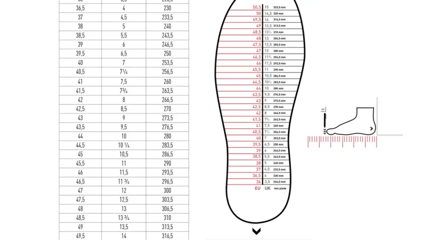 Tabella taglie scarpe: EU 38, UK 5, 240 mm. Trova la tua misura perfetta, anche 7 1/2 scarpe.