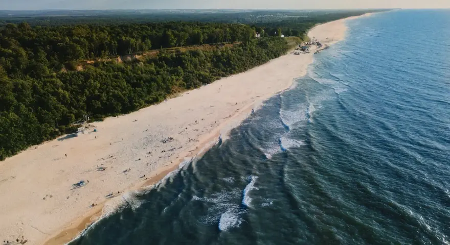Widok z lotu ptaka na piaszczystą plażę, las i morze w Jastrzębiej Górze.